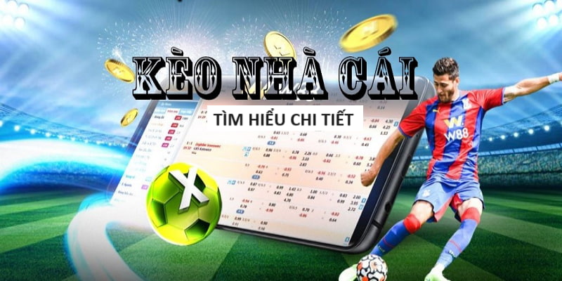 Nhận ngay Giftcode Fishing Clash hấp dẫn cho game thủ đam mê câu cá Nhận ngay Giftcode Fishing Clash hấp dẫn cho game thủ đam mê câu cá